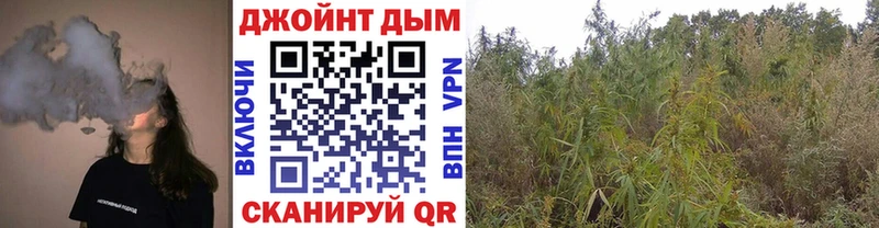 Как найти наркотики Белая Холуница Alpha PVP  Кетамин  КОКАИН  Бошки Шишки  АМФЕТАМИН 