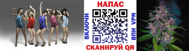 Бошки Шишки сатива  где купить наркотик  MEGA рабочий сайт  Белая Холуница 